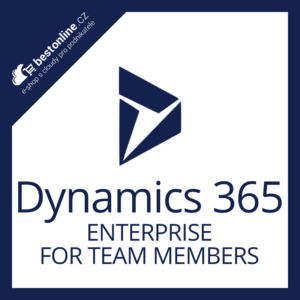 Dynamics 365 enterprise for team members