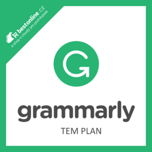 Grammarly - Team Plan 12