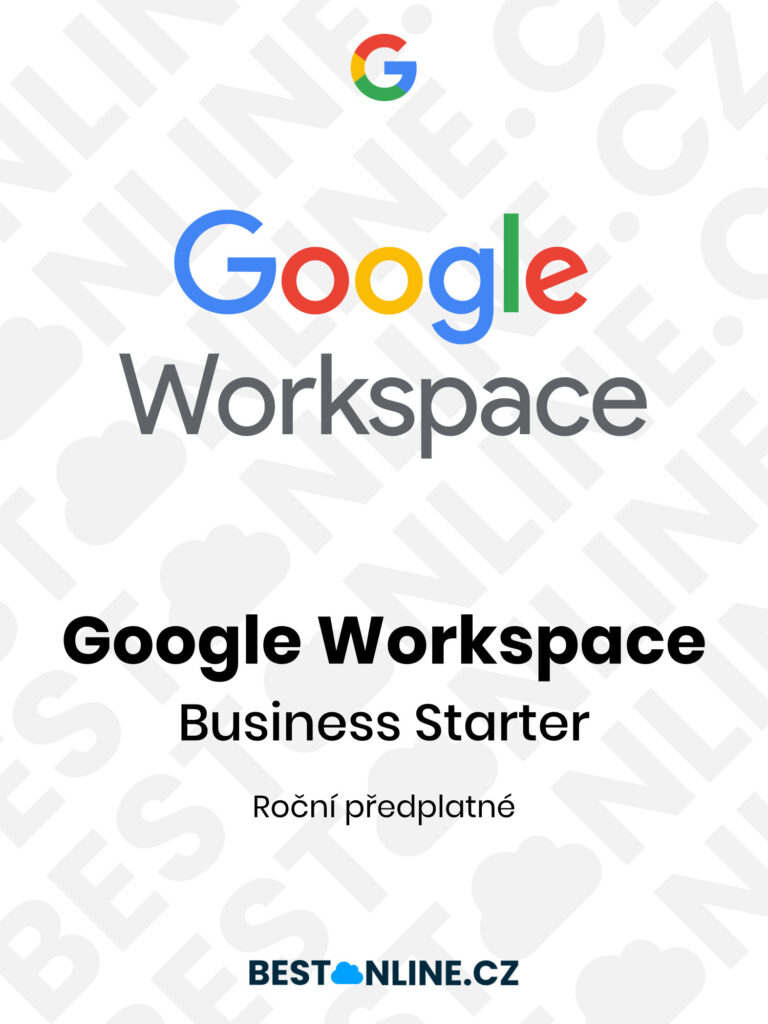 Google Workspace Business Starter