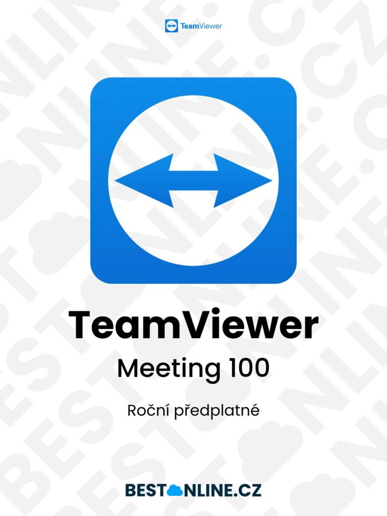 TeamViewer Meeting 100