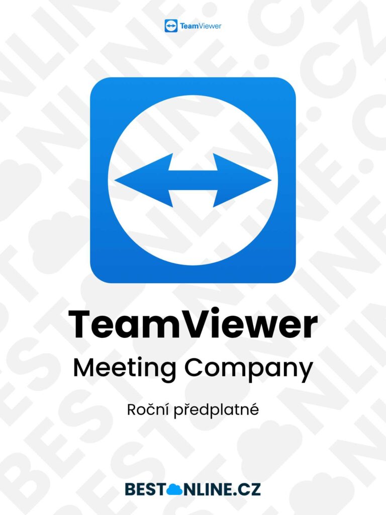 TeamViewer Meeting Company